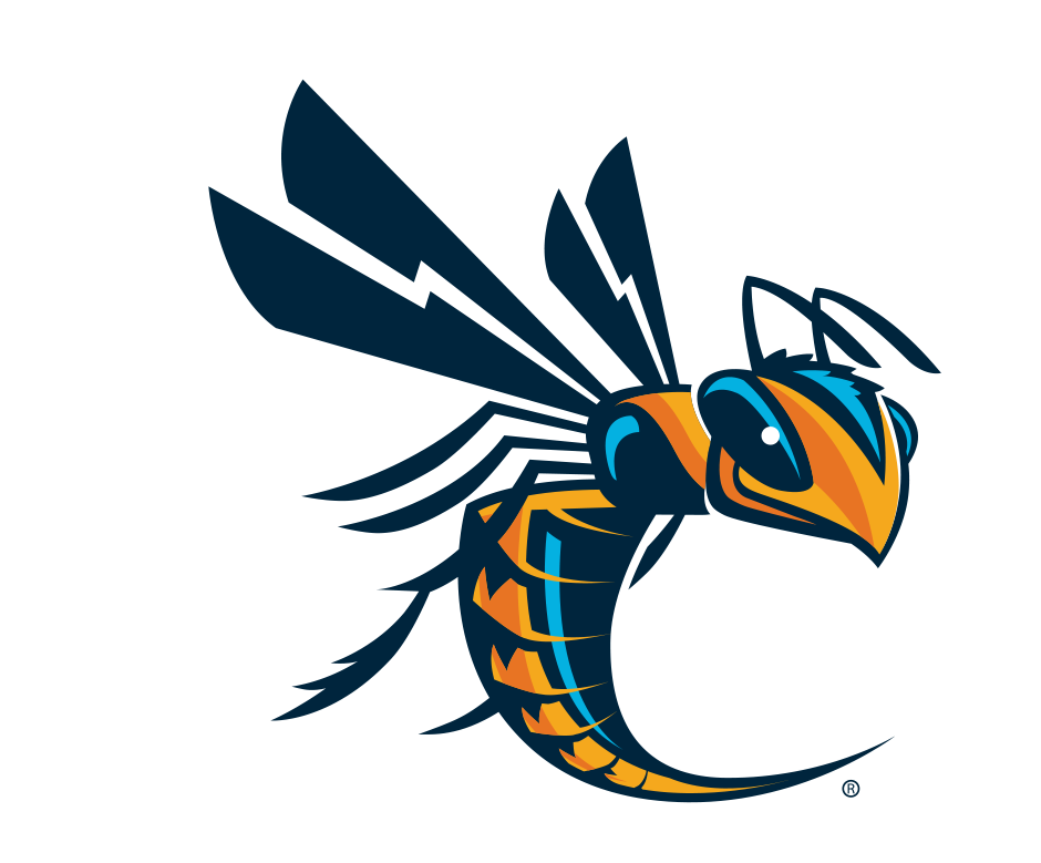 Cedarville Athletic Camps